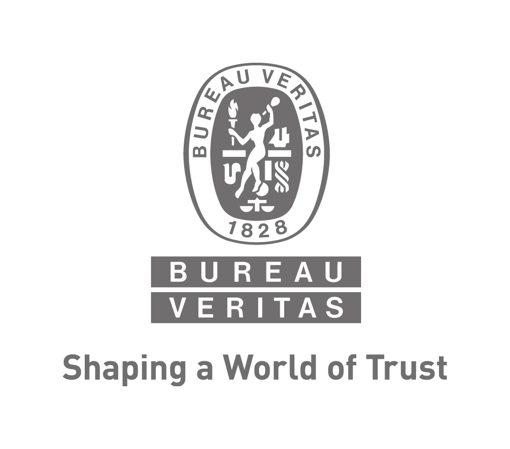 Bureau Veritas Marine & Offshore